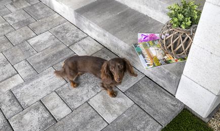 Leier Kaiserstein Taverna lépcsőblokk