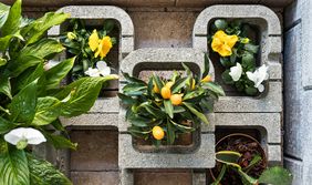 Leier Kaiserstein Galéria – Központi iroda, Győr